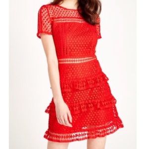 Liqourish Red Short Sleeve Lace Dress